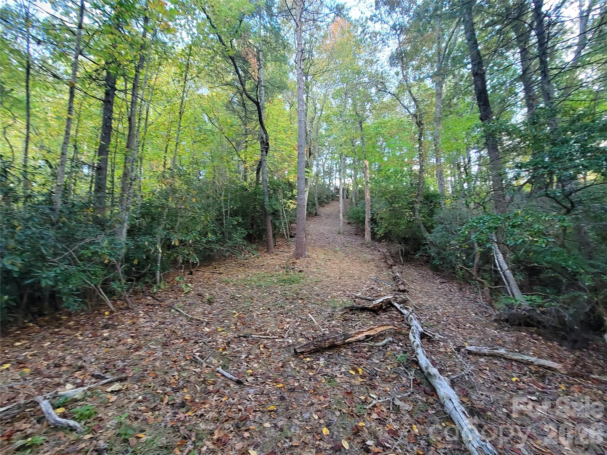 0 Big Hungry Road Flat Rock, NC 28731 - Photo 24 of 40