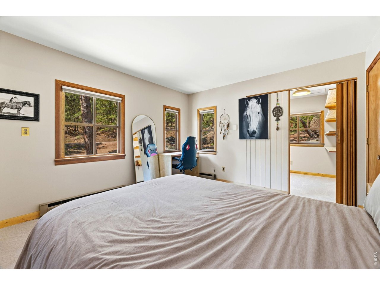 128 Elk Road Lyons, CO 80540 - Photo 25 of 50 Primary bedroom with walk-in closet