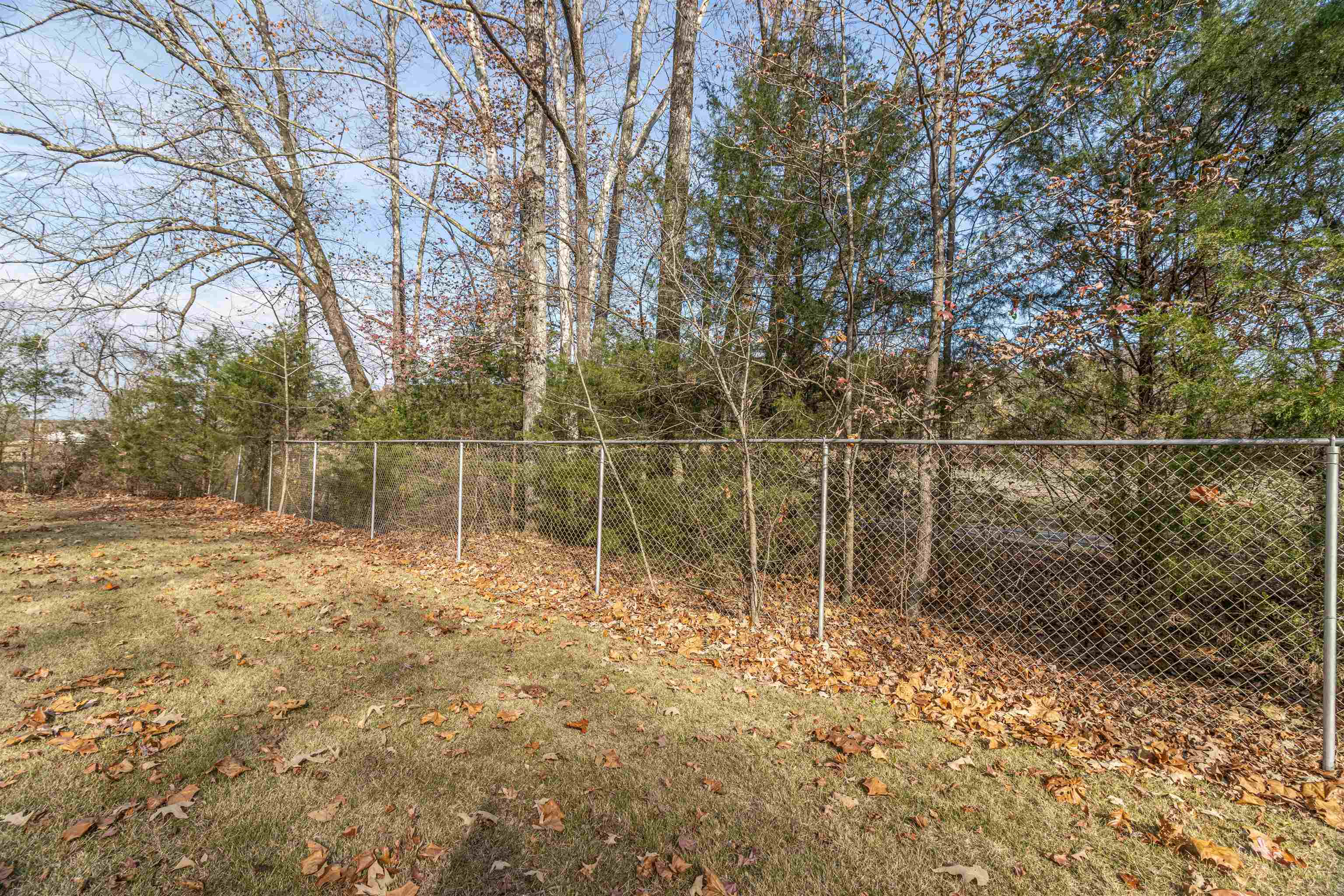 641 Lake Field Road Selmer, TN 38375 - Photo 33 of 36 Gallery Image 33