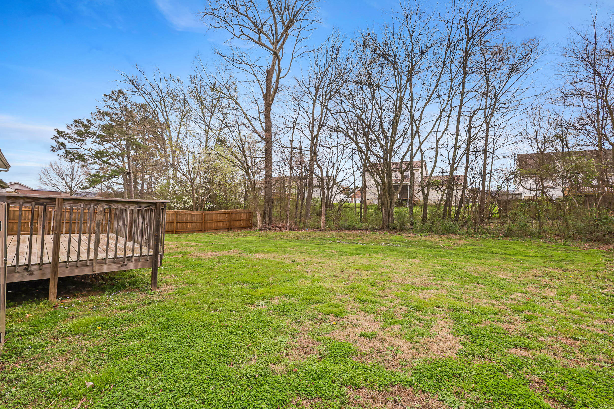 65 Night Shade Lane Ringgold, GA 30736 - Photo 26 of 32 Backyard