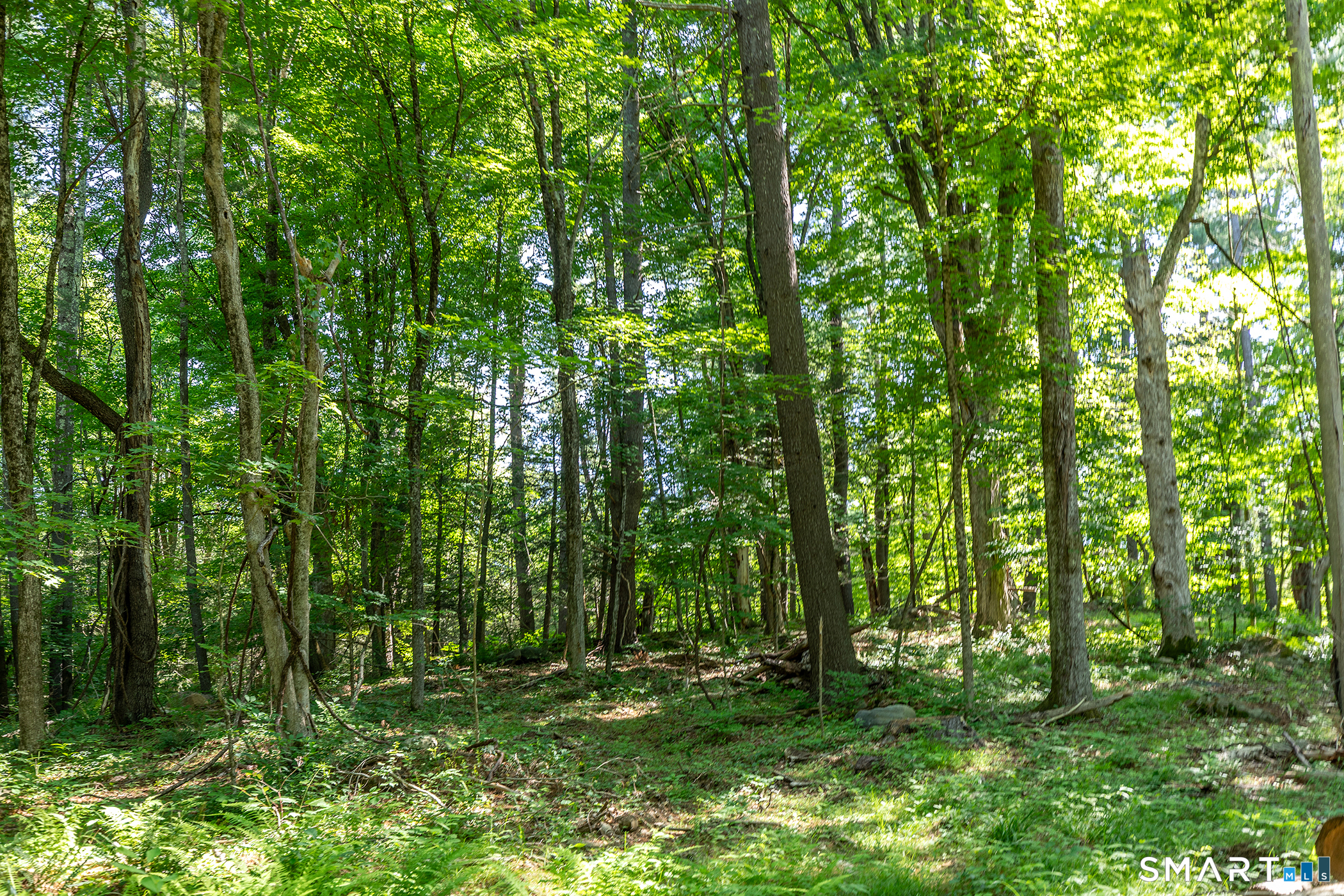 0 Great Hollow Road West Cornwall, CT 06796 - Photo 6 of 20 Gallery Image 6