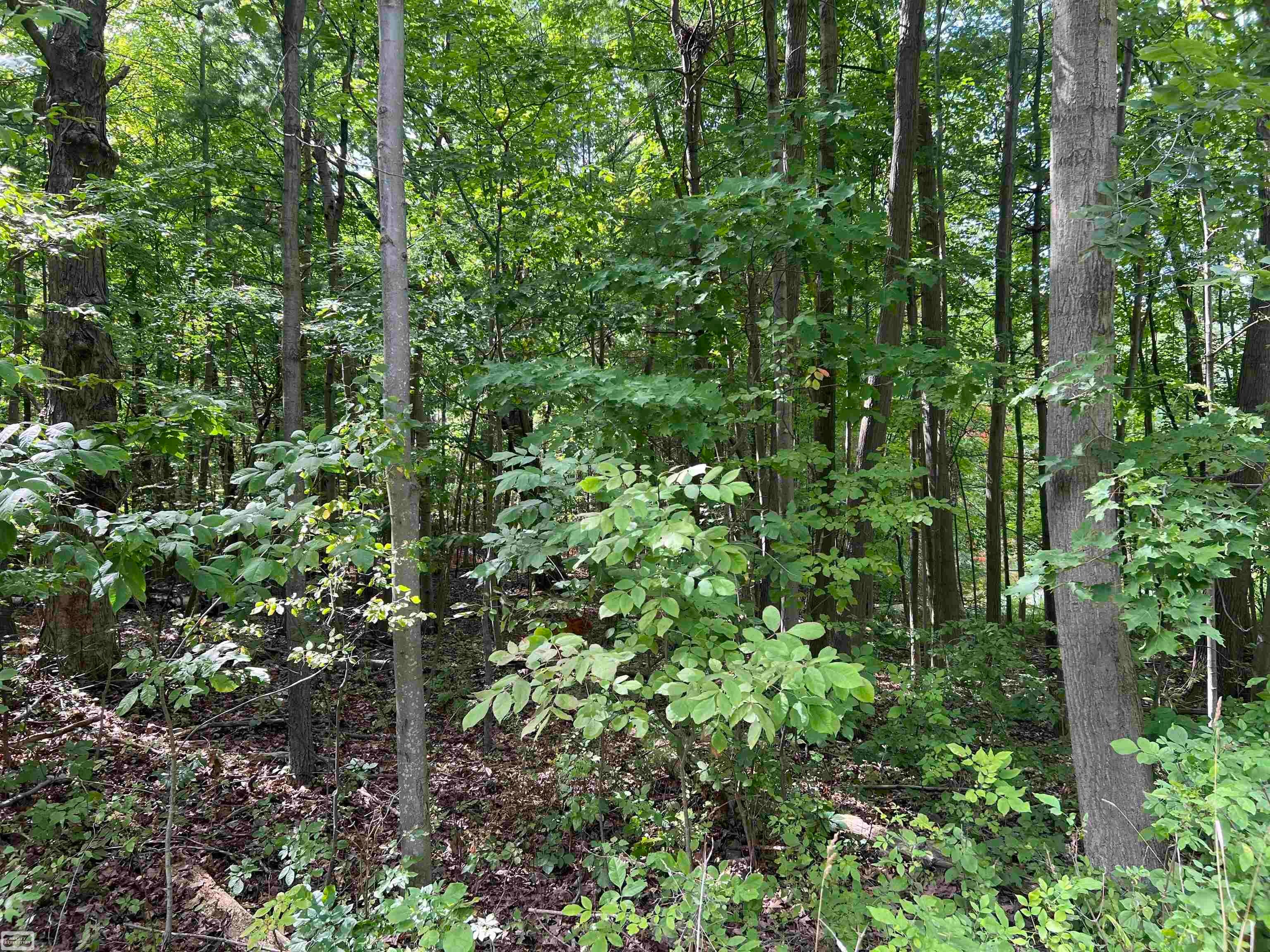 0 Burton Road Capac, MI 48014 - Photo 8 of 9 Gallery Image 8