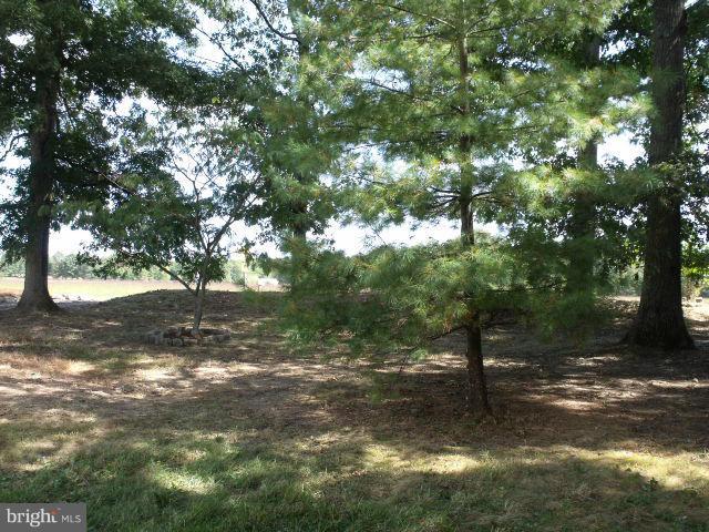4056 Whiting Road Marshall, VA 20115 - Photo 13 of 30 View