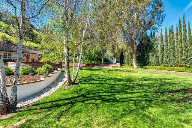 a view of a park with large trees