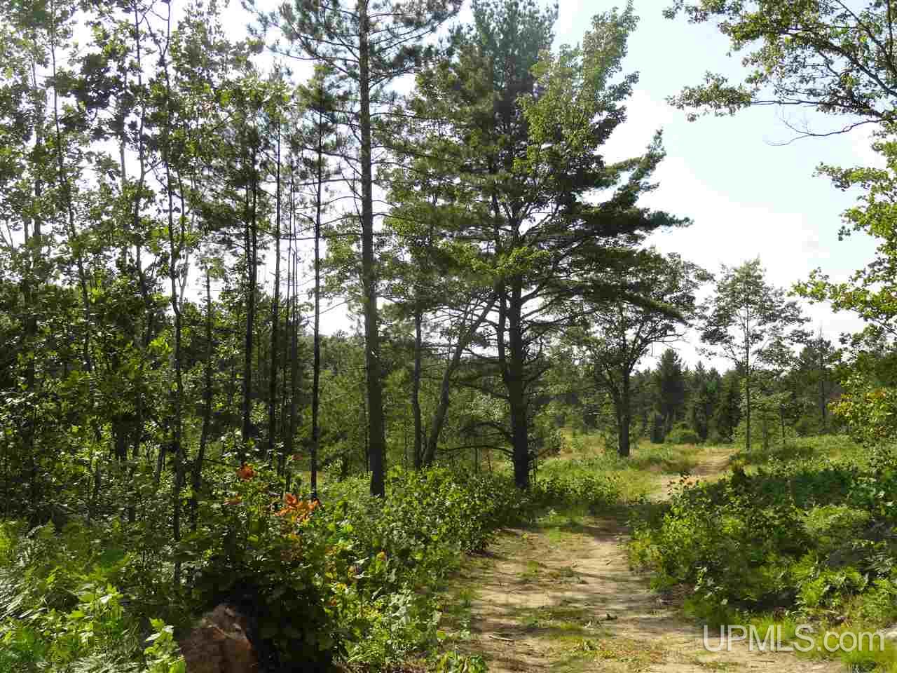 143-acres County Rd FF Republic, MI 49879 - Photo 2 of 18