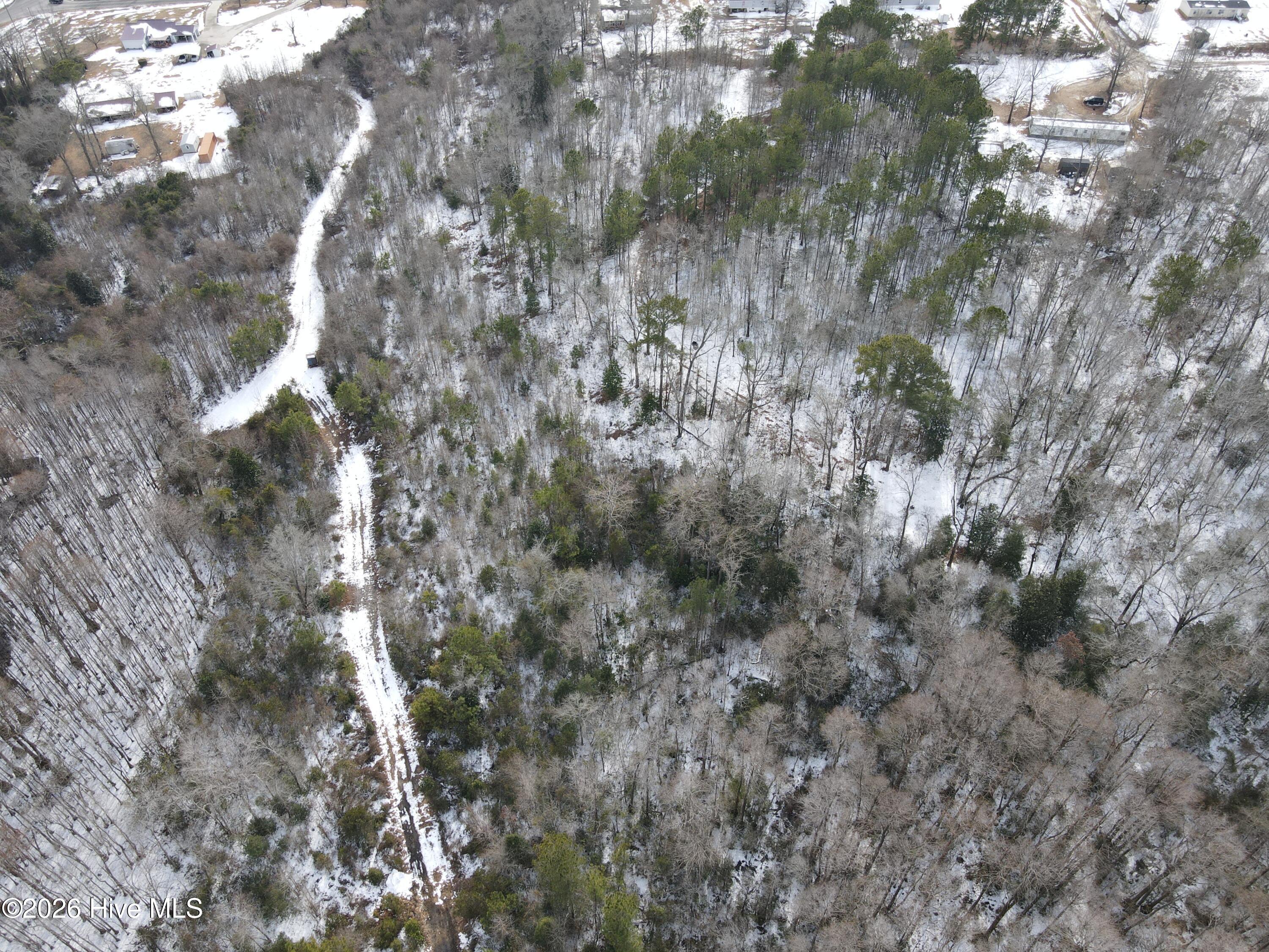 0 Smith Road Gibson, NC 28343 - Photo 1 of 5 DJI_0713
