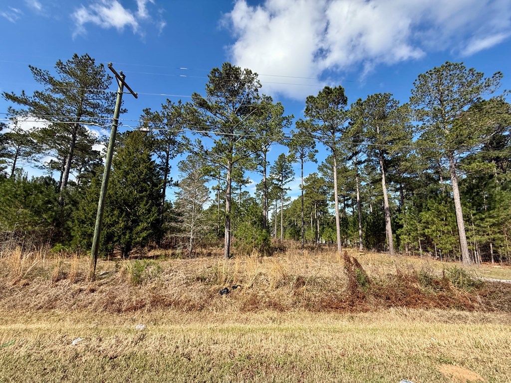 0 Ben Ivey Road Webb, AL 36376 - Photo 4 of 7