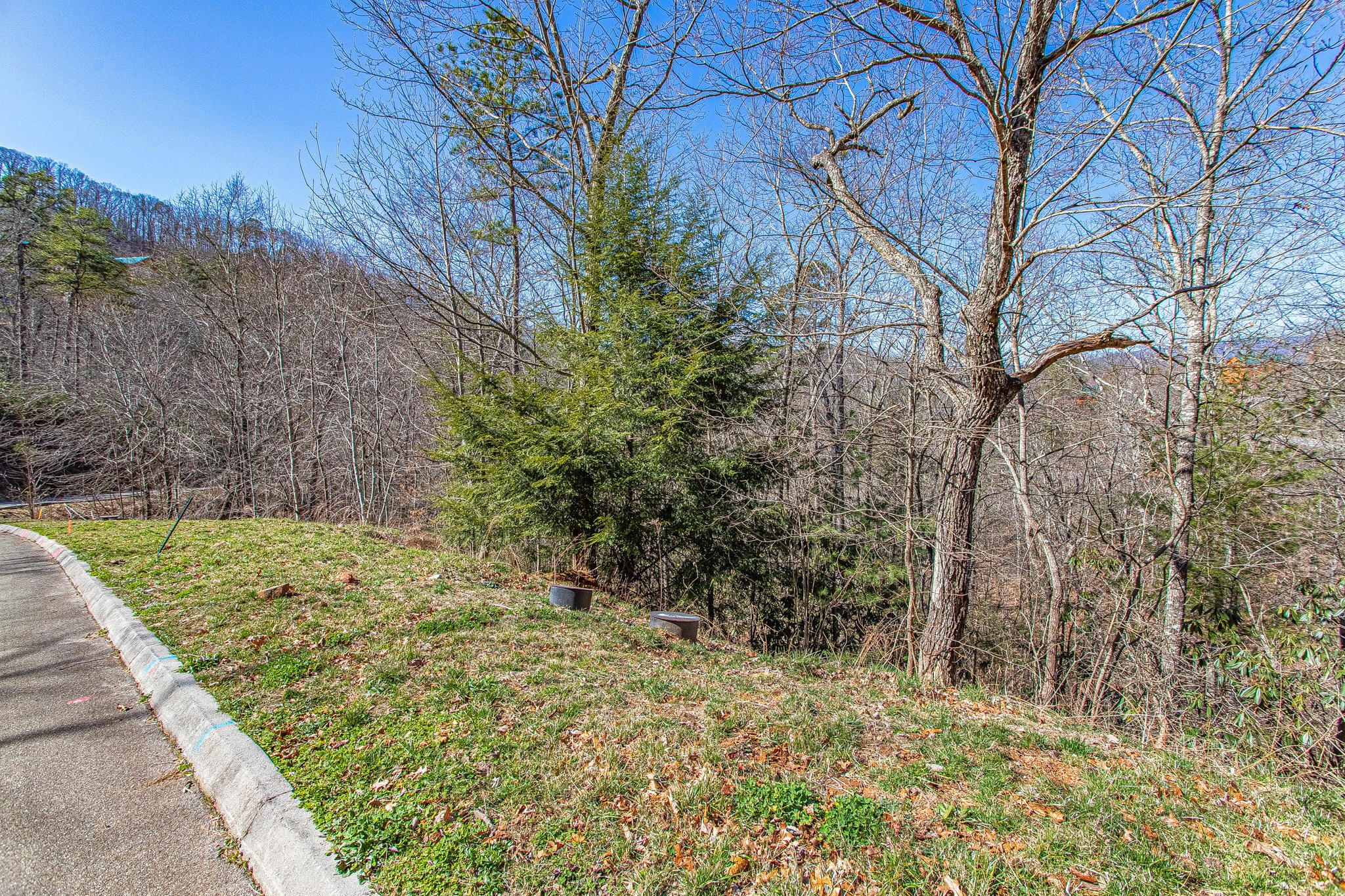 64 Smoky Ridge Way Sevierville, TN 37862 - Photo 3 of 12 a backyard of a house with lots of green space