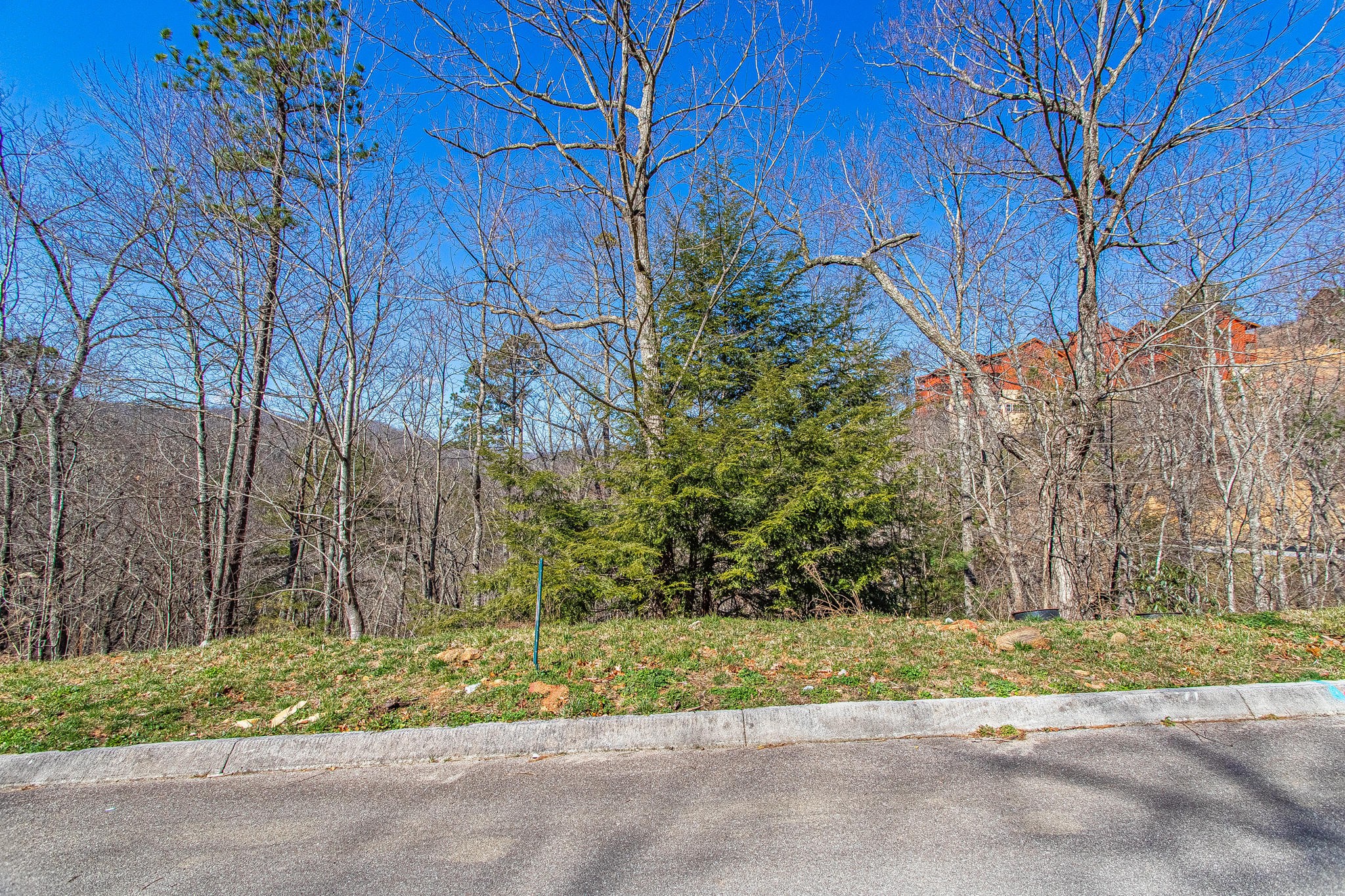 64 Smoky Ridge Way Sevierville, TN 37862 - Photo 5 of 12 a backyard of a house with large trees