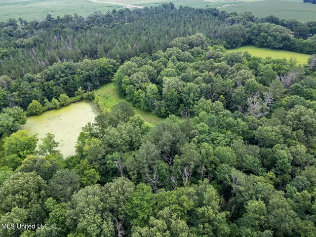 $354,550 | Lewis Prestage Road, Pelahatchie, MS 39145
