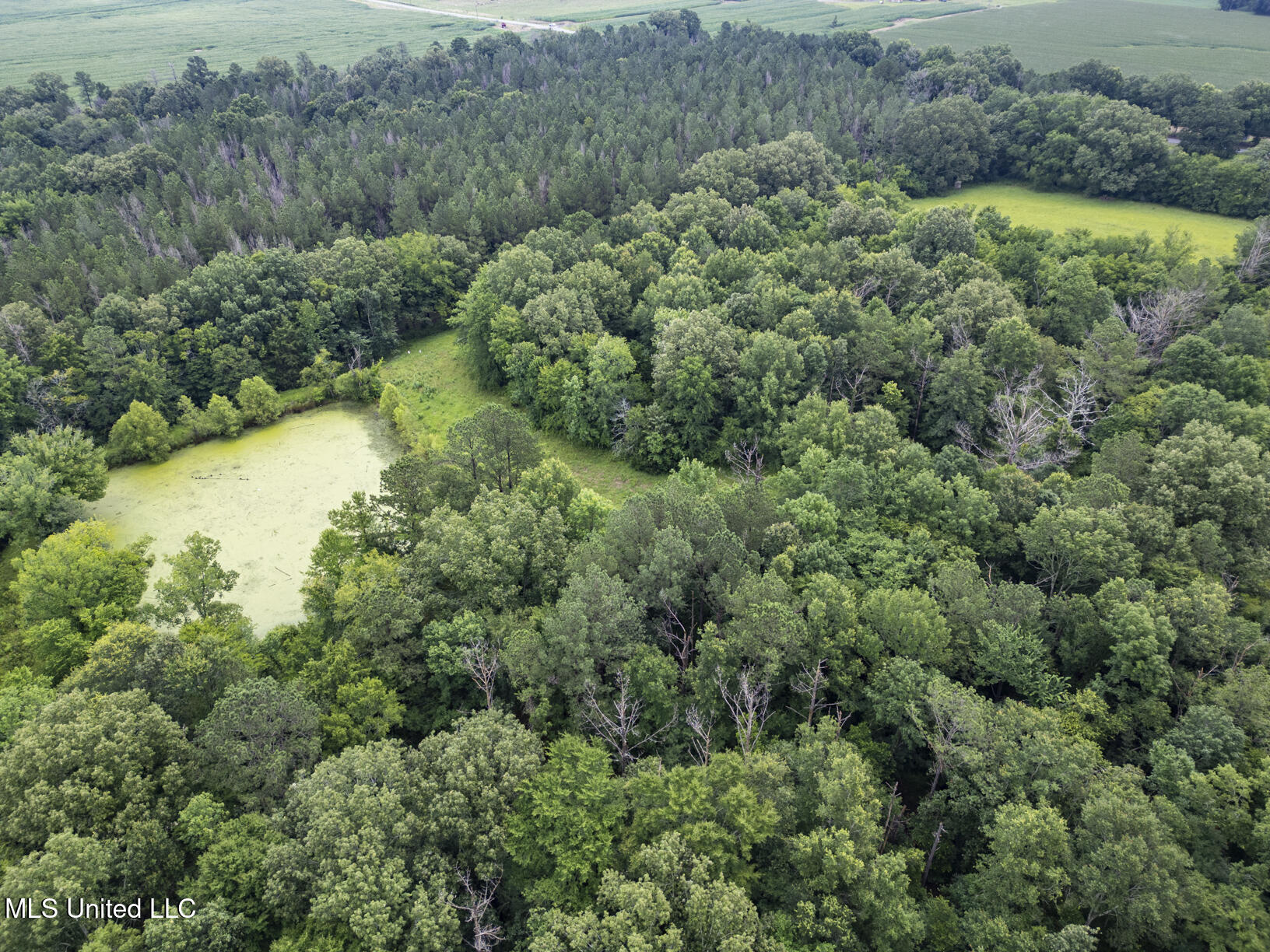 Lewis Prestage Road Pelahatchie, MS 39145 - Photo 11 of 13 20 acre tract-12