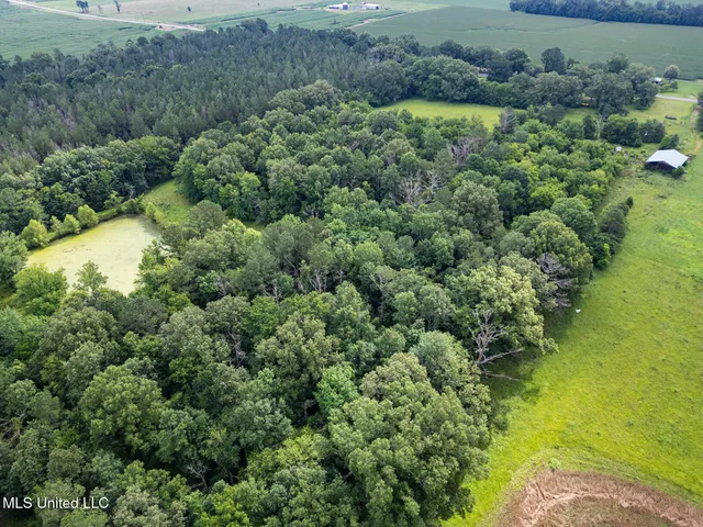 $354,550 | Lewis Prestage Road, Pelahatchie, MS 39145