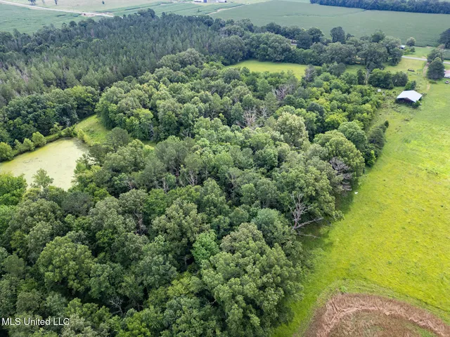 $354,550 | Lewis Prestage Road, Pelahatchie, MS 39145