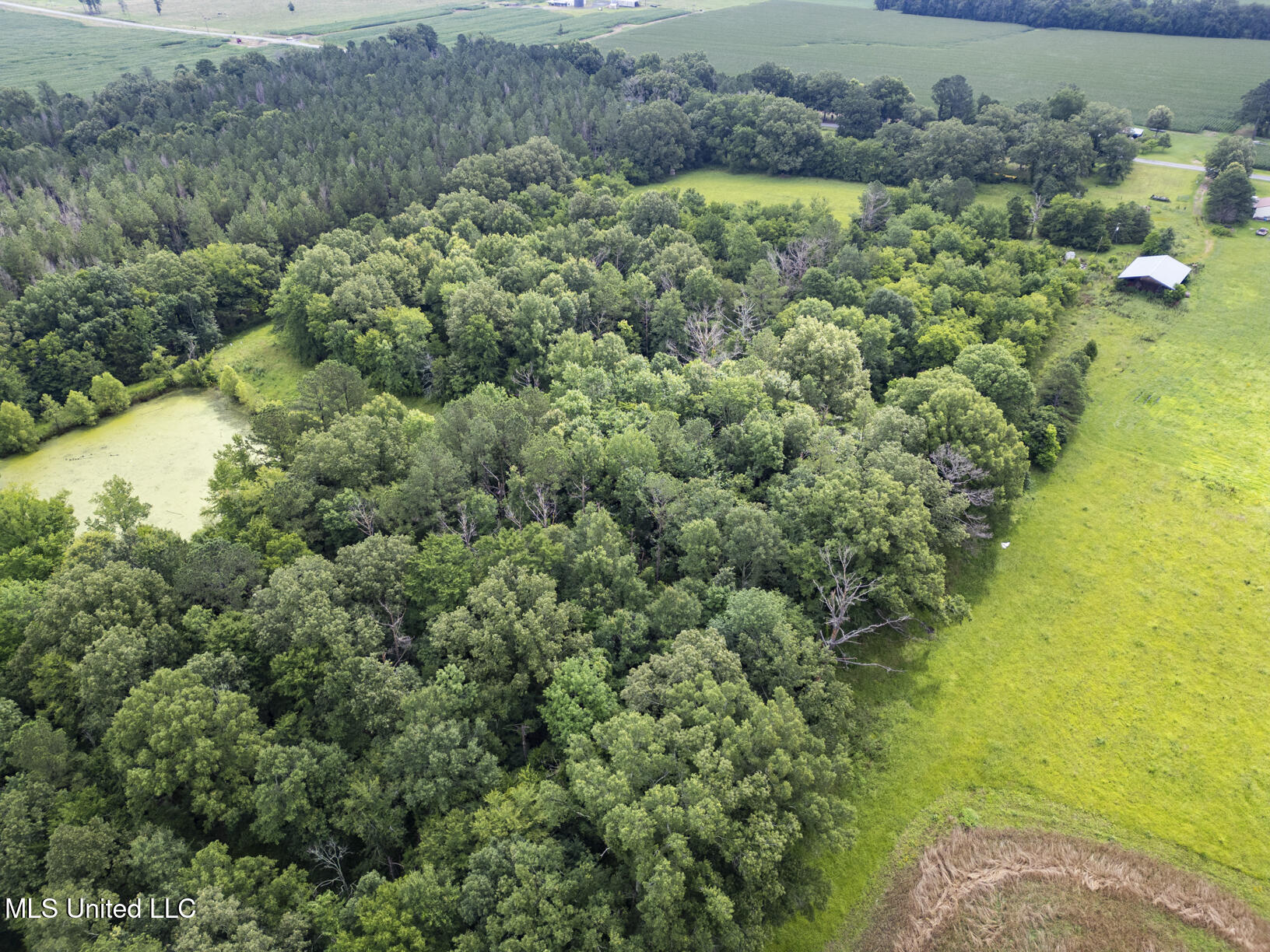 Lewis Prestage Road Pelahatchie, MS 39145 - Photo 13 of 13 20 acre tract-14