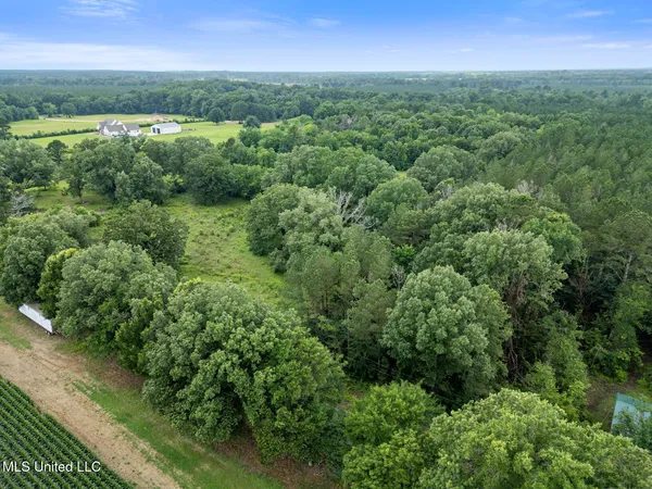 $354,550 | Lewis Prestage Road, Pelahatchie, MS 39145