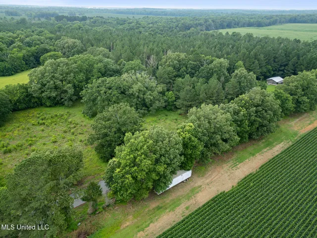 $354,550 | Lewis Prestage Road, Pelahatchie, MS 39145