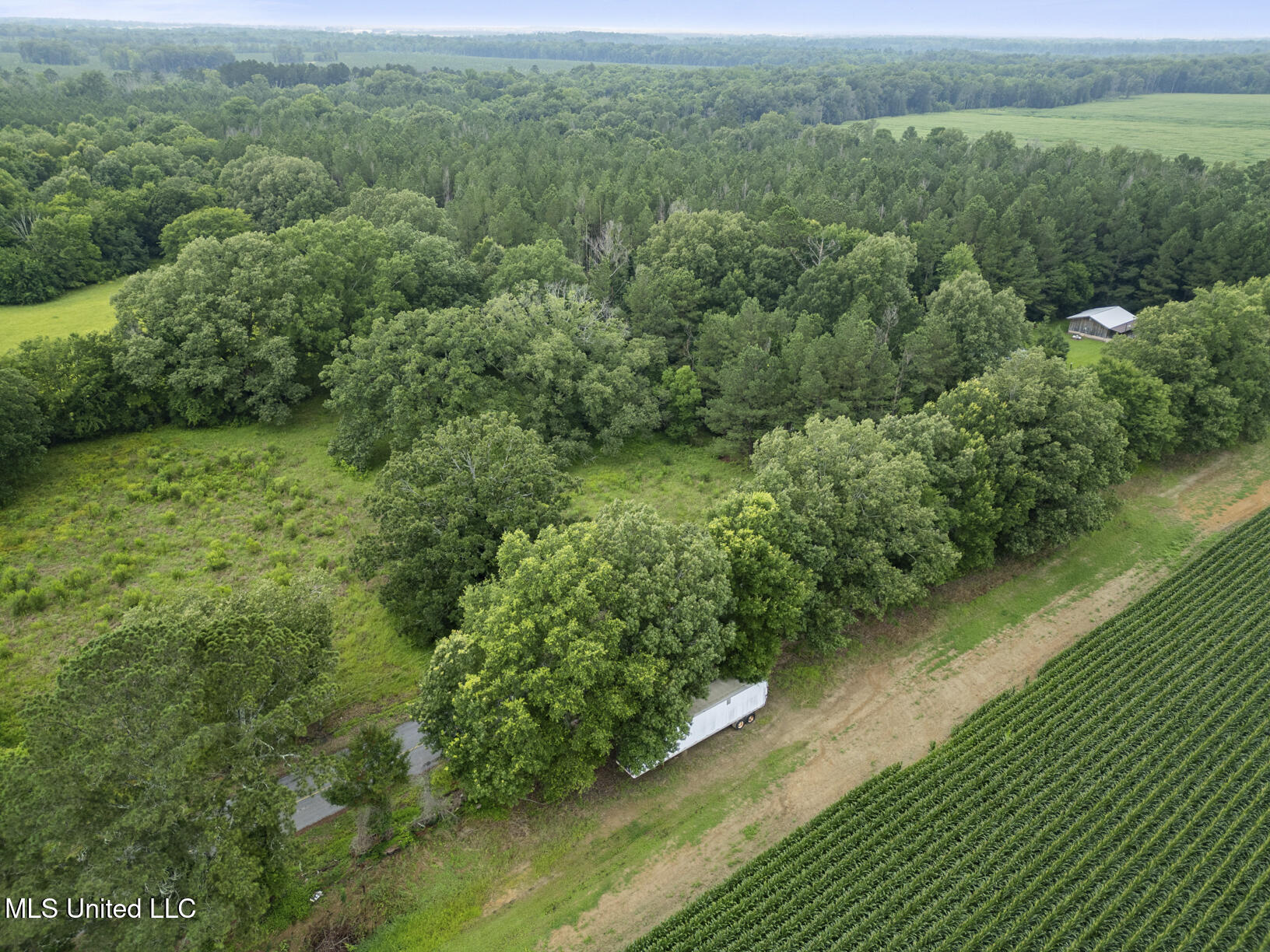 Lewis Prestage Road Pelahatchie, MS 39145 - Photo 4 of 13 20 acre tract-2