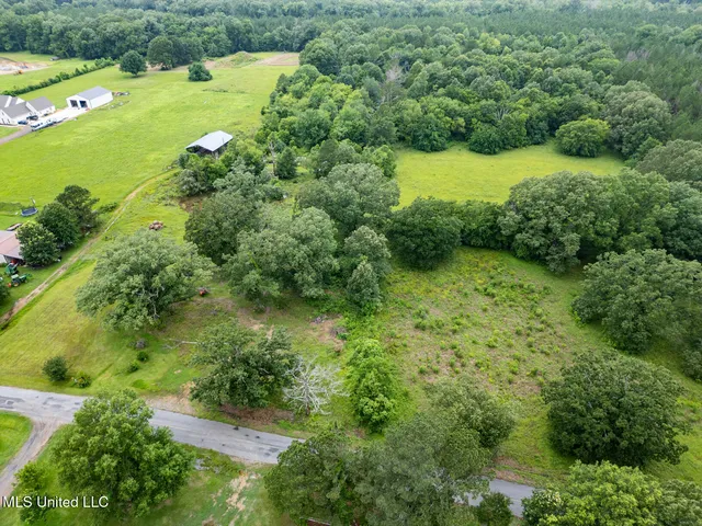 $354,550 | Lewis Prestage Road, Pelahatchie, MS 39145