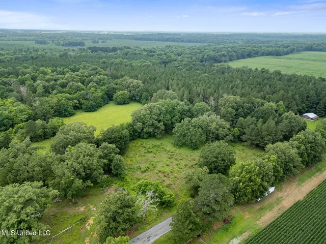 $354,550 | Lewis Prestage Road, Pelahatchie, MS 39145