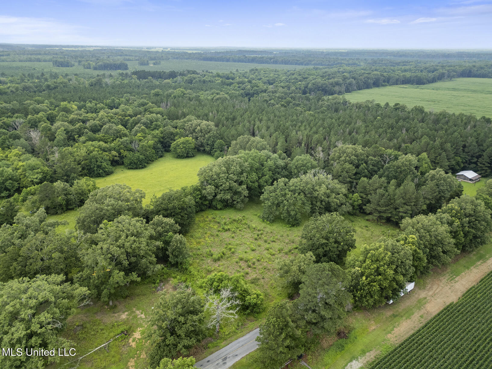 Lewis Prestage Road Pelahatchie, MS 39145 - Photo 6 of 13 20 acre tract-4