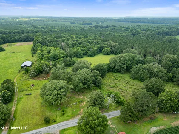 $354,550 | Lewis Prestage Road, Pelahatchie, MS 39145