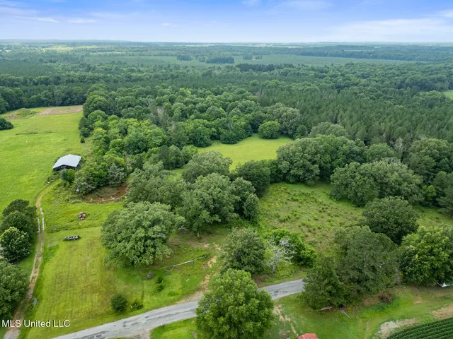 $354,550 | Lewis Prestage Road, Pelahatchie, MS 39145