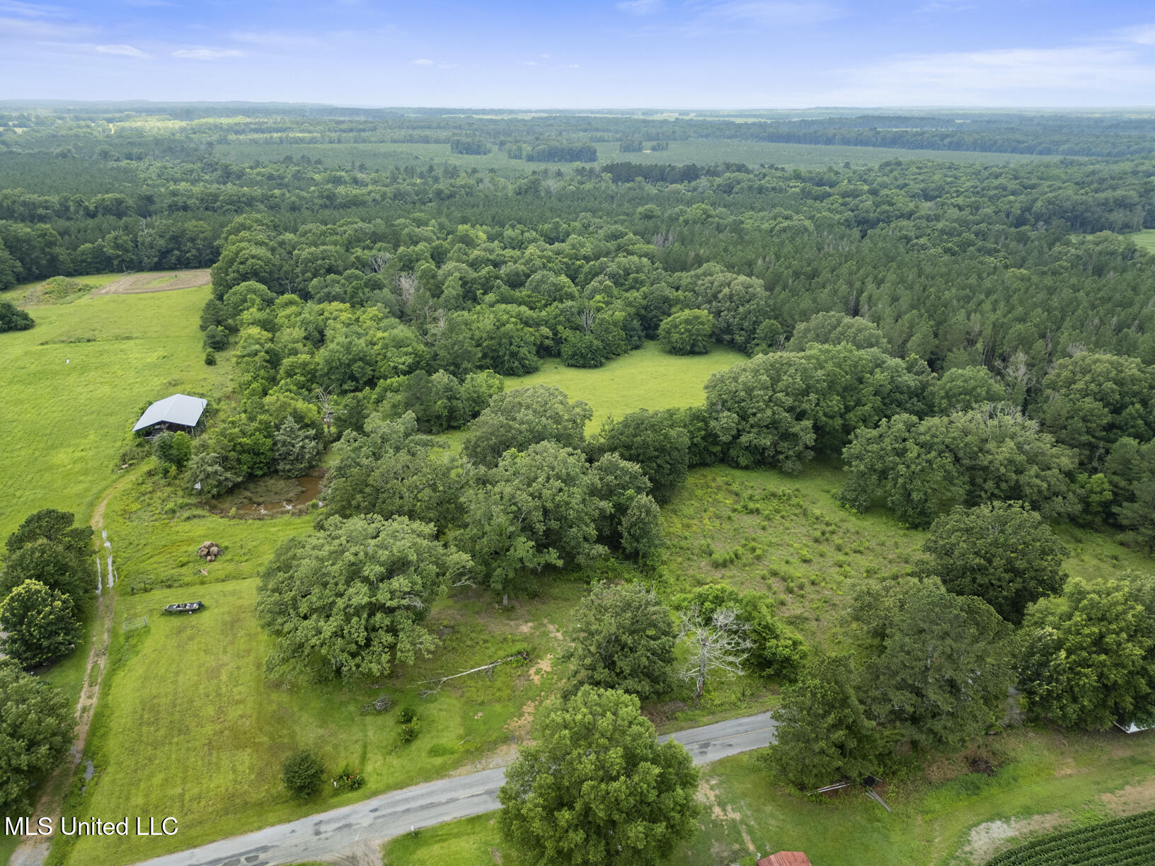 Lewis Prestage Road Pelahatchie, MS 39145 - Photo 7 of 13 20 acre tract-5
