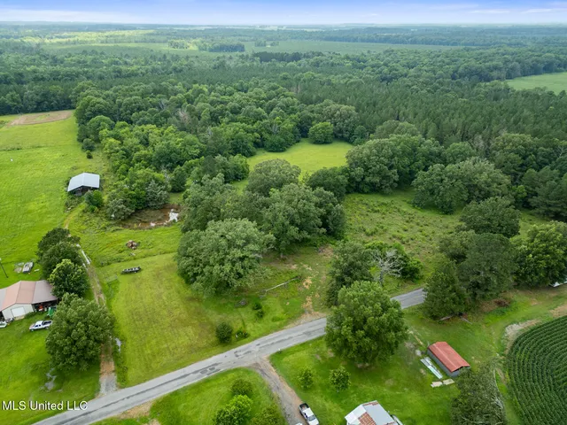 $354,550 | Lewis Prestage Road, Pelahatchie, MS 39145