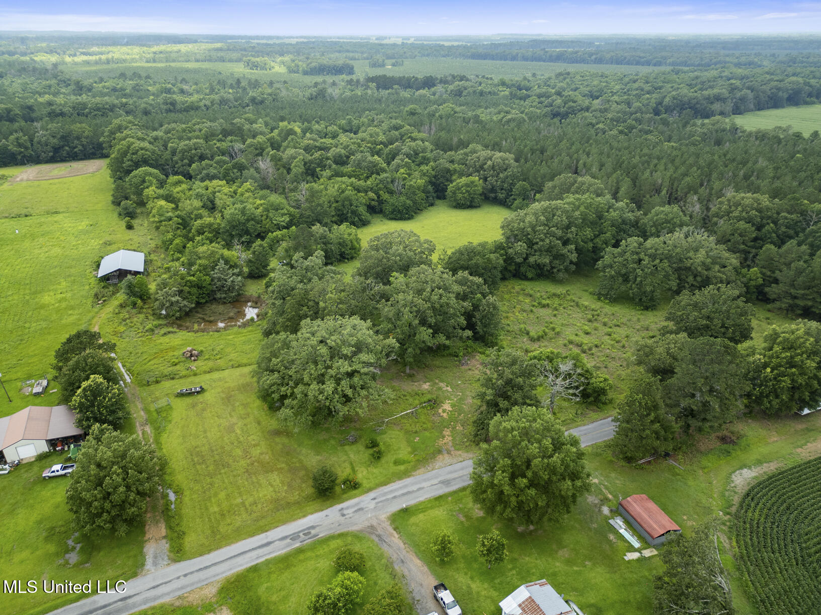 Lewis Prestage Road Pelahatchie, MS 39145 - Photo 8 of 13 20 acre tract-6