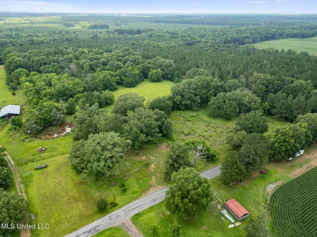 $354,550 | Lewis Prestage Road, Pelahatchie, MS 39145