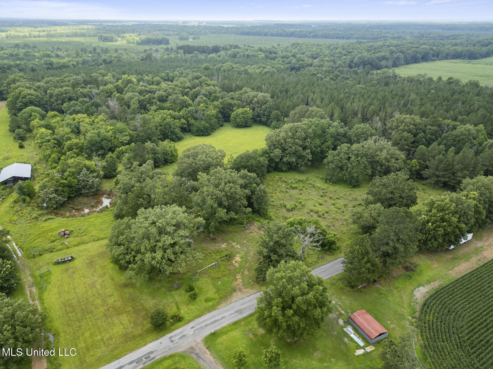 Lewis Prestage Road Pelahatchie, MS 39145 - Photo 9 of 13 20 acre tract-7