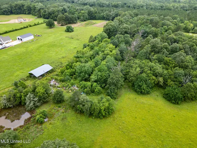 $354,550 | Lewis Prestage Road, Pelahatchie, MS 39145