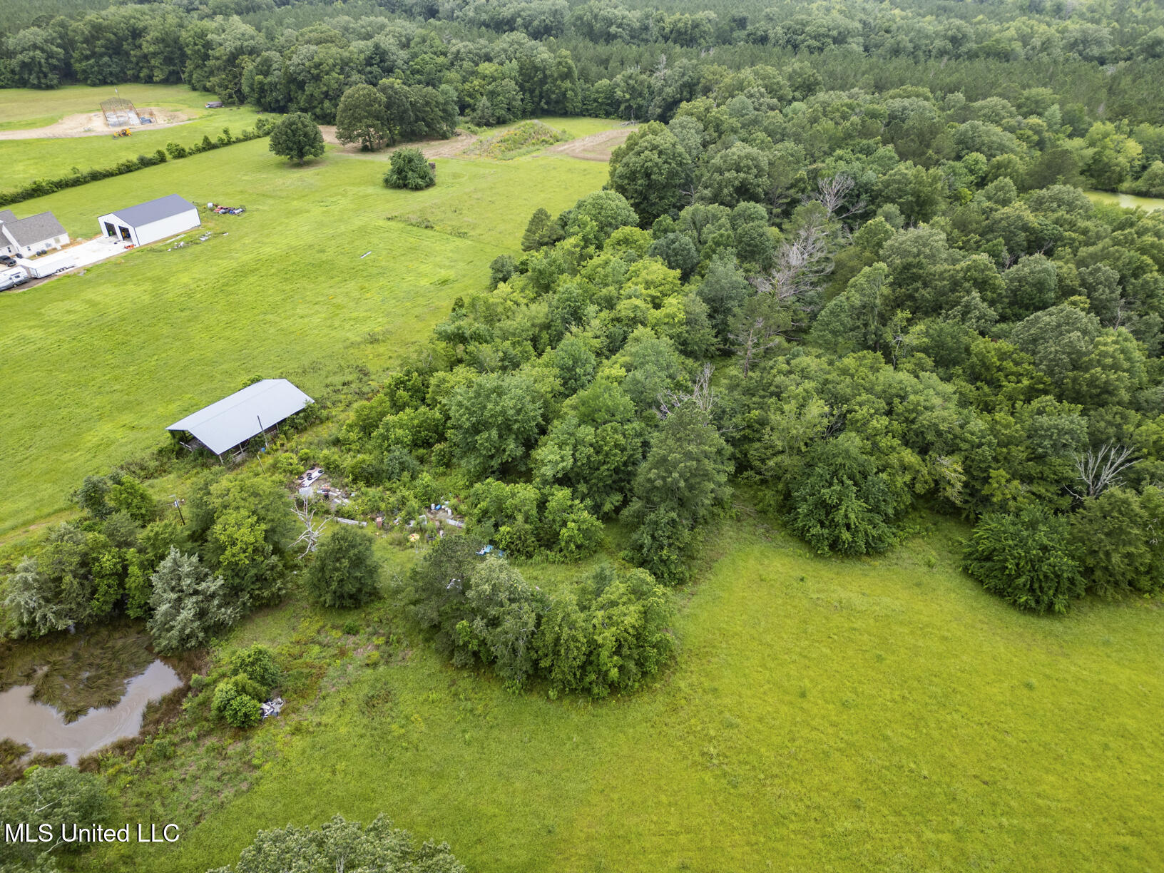 Lewis Prestage Road Pelahatchie, MS 39145 - Photo 10 of 13 20 acre tract-11