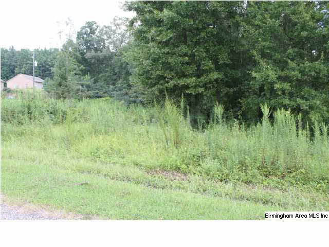 Hitching Post Circle, Unit 4 Cropwell, AL 35054 - Photo 1 of 3