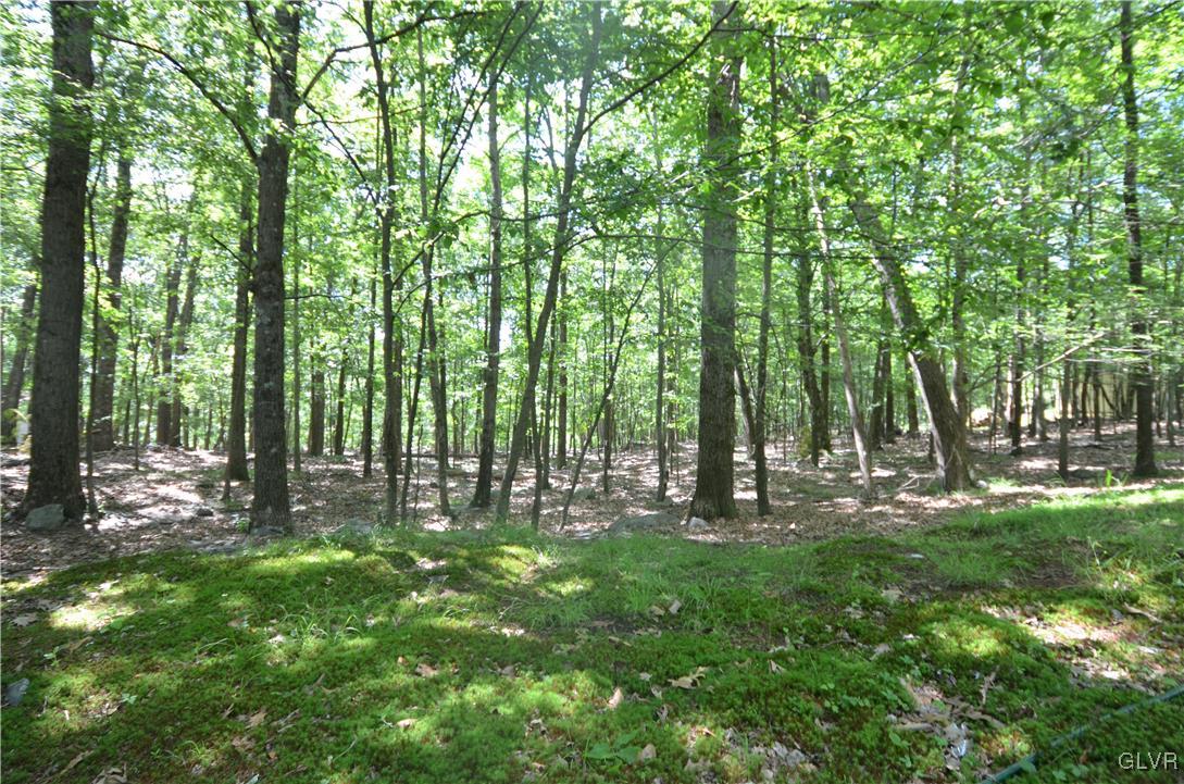 106 Chipmunk Road Bushkill, PA 18324 - Photo 12 of 12 Gallery Image 12