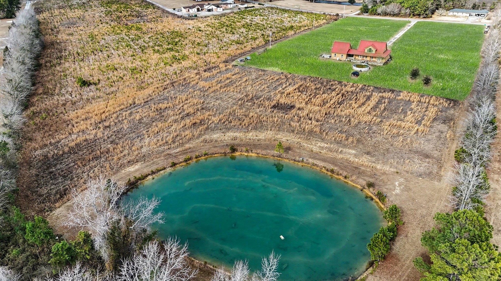 202 Highway 747 Loris Sc 29569 Loris, SC 29569 - Photo 32 of 34 Aerial view