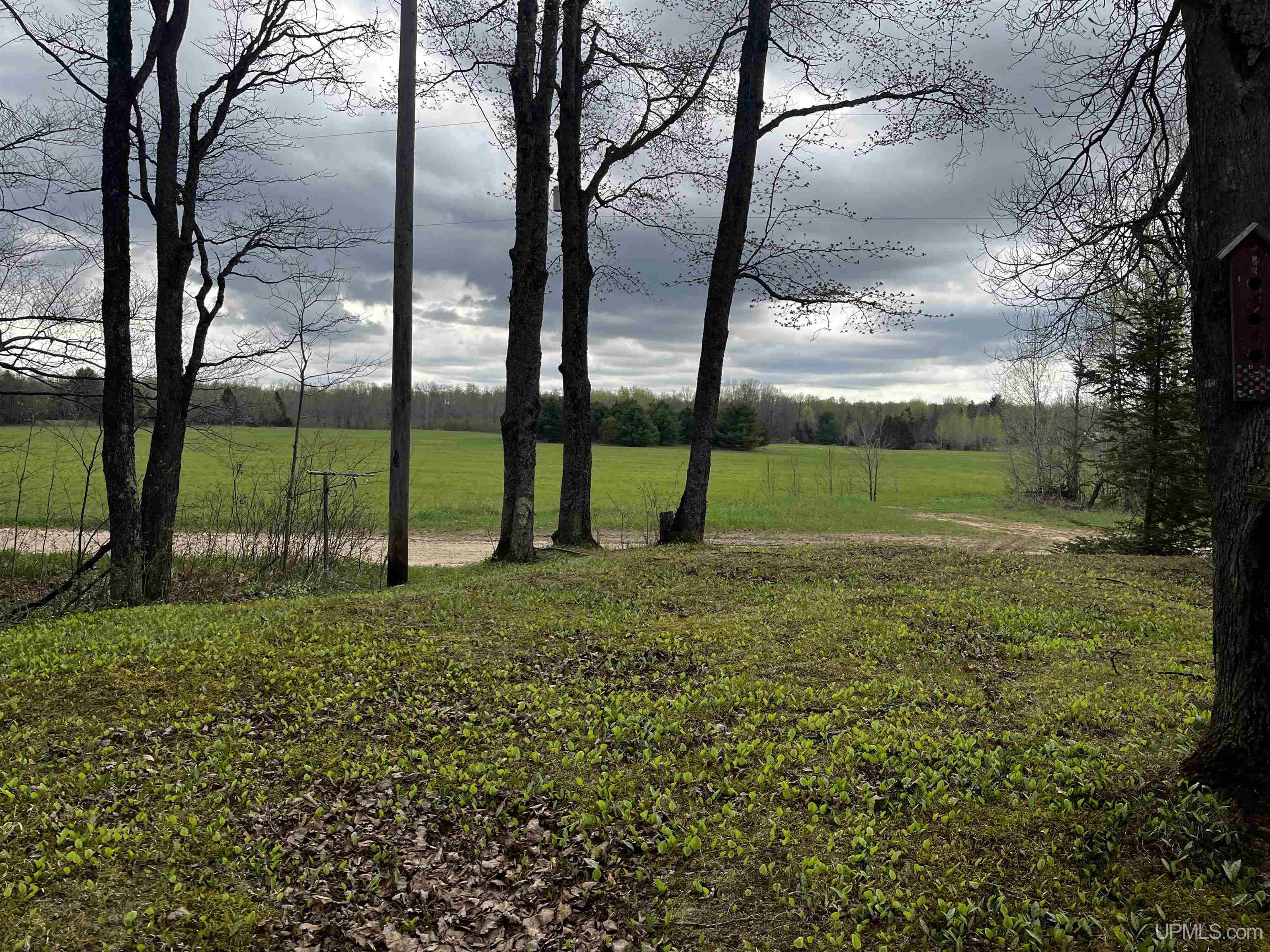 3946 East Storm Road Chatham, MI 49816 - Photo 28 of 37