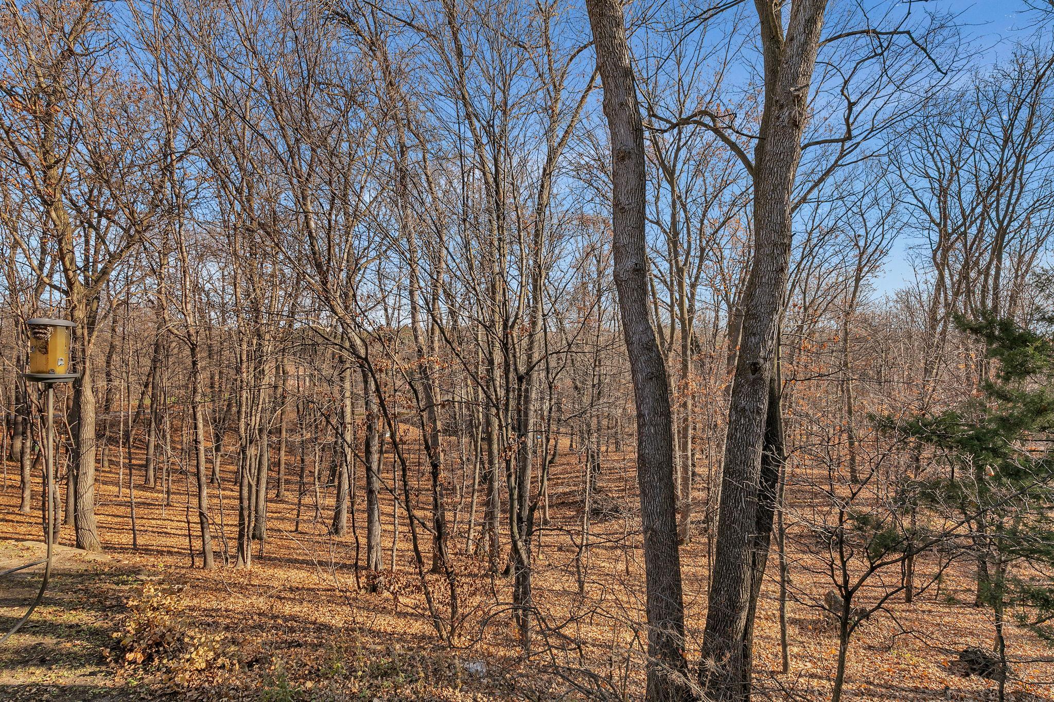 30702 Melanie Way St. Joseph, MN 56374 - Photo 61 of 67