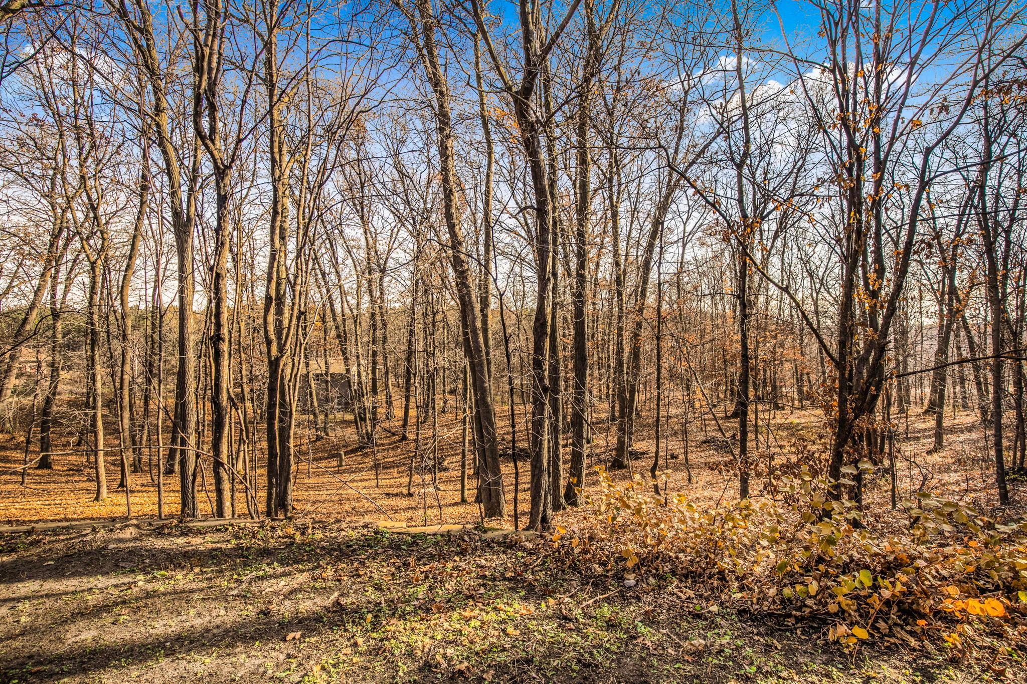 30702 Melanie Way St. Joseph, MN 56374 - Photo 63 of 67