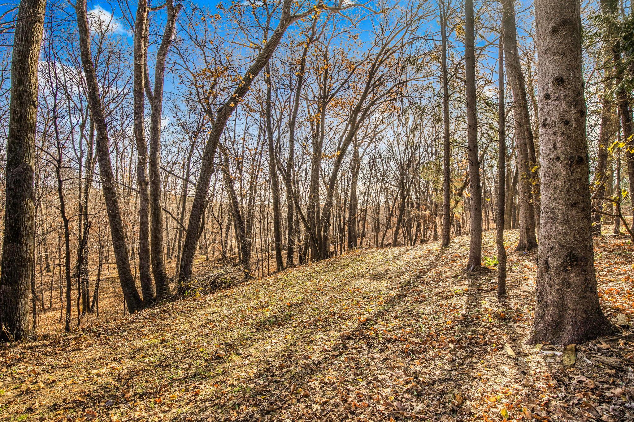 30702 Melanie Way St. Joseph, MN 56374 - Photo 64 of 67