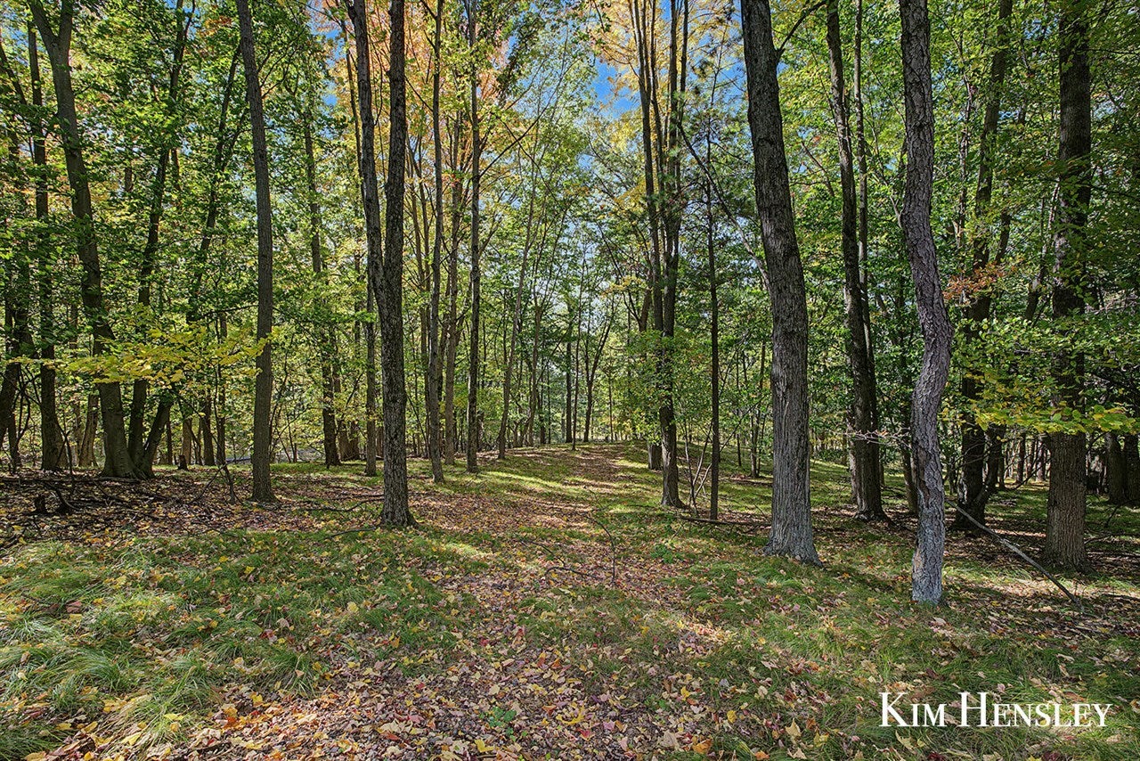 3948 Holland Road Stanton, MI 48888 - Photo 59 of 67 Gallery Image 59