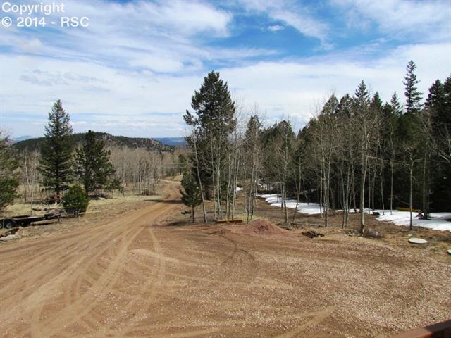 1673 Pulver Road Lake George, CO 80827 - Photo 22 of 24 Entry Drive/View