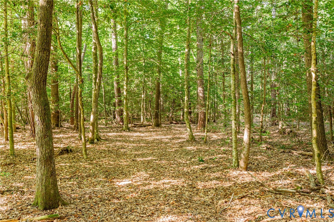 0 Barnetts Road Providence Forge, VA 23140 - Photo 23 of 37 Wooded acreage featuring mature trees and a natura