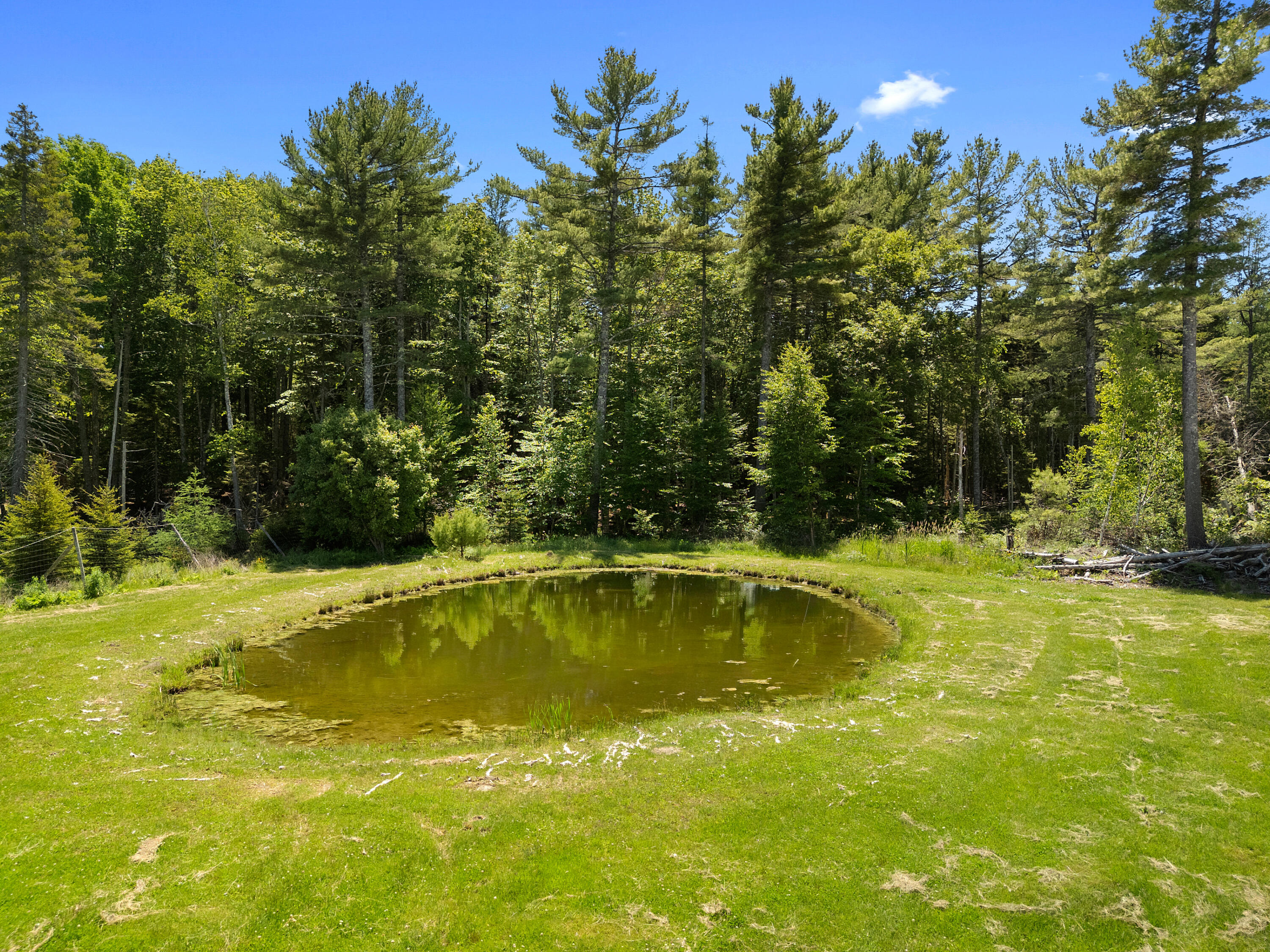 1141 Main Road Islesboro, ME 04848 - Photo 54 of 81 DJI_20260617130034_0470_D