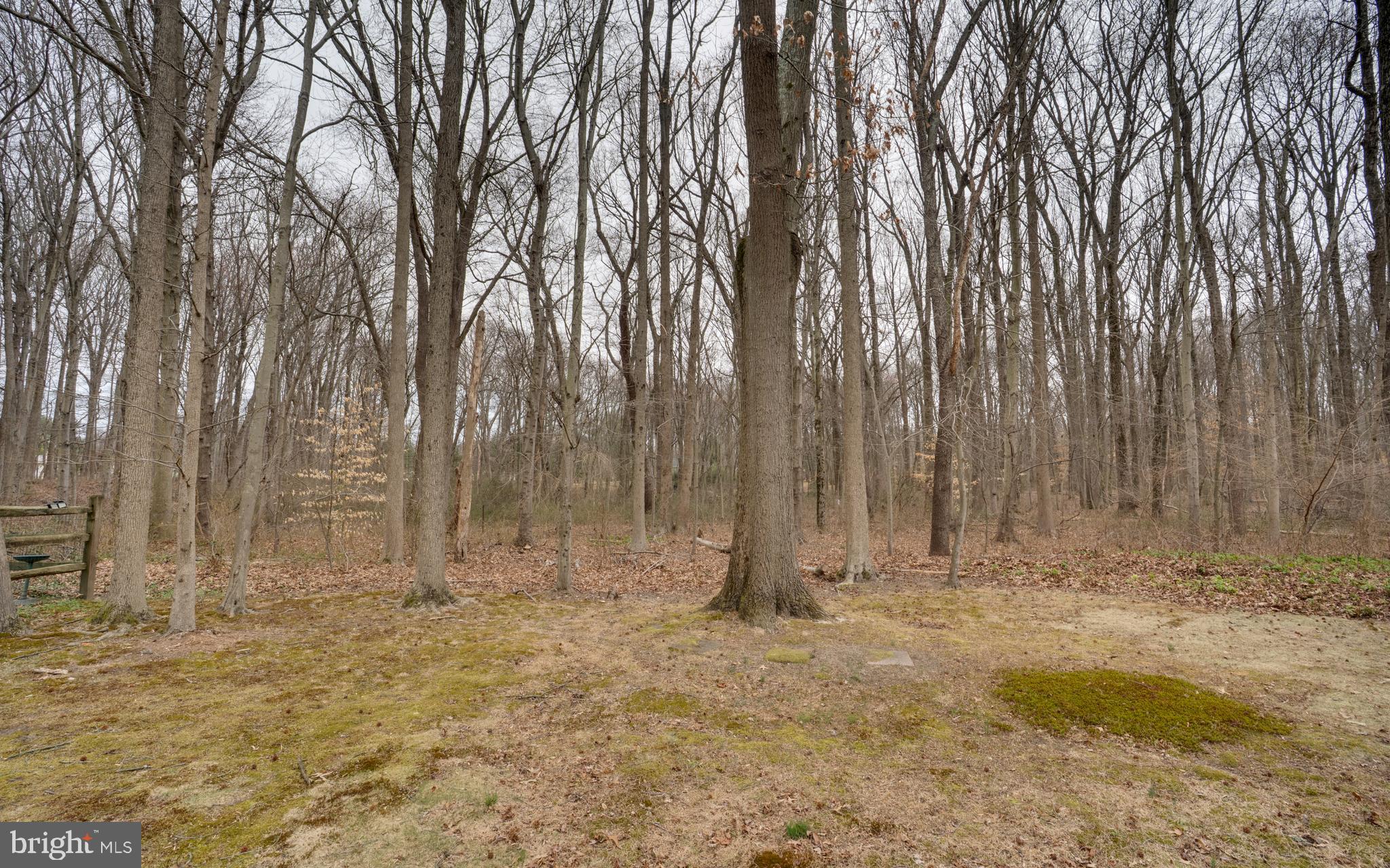 319 Stanley Plaza Boulevard Newark, DE 19713 - Photo 32 of 34