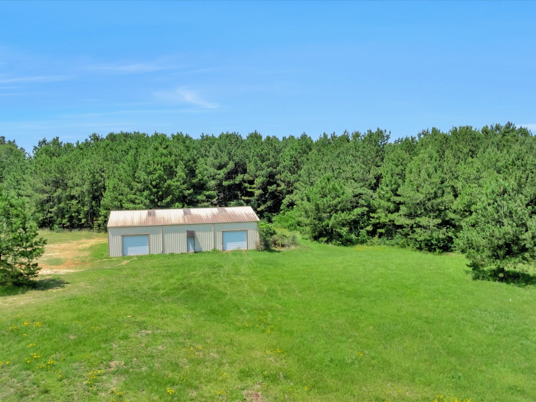287 Highway 287 South Chester, TX 75936 - Photo 2 of 9 a view of a yard with a house