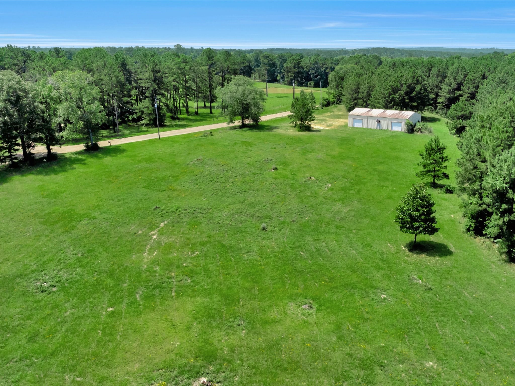 287 Highway 287 South Chester, TX 75936 - Photo 7 of 9 a view of a garden