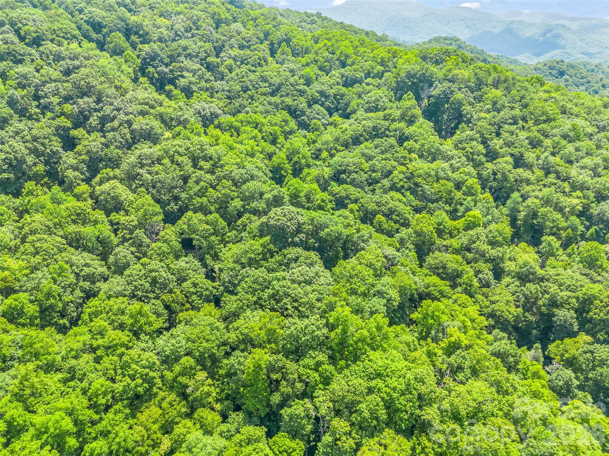 20 Kimberly Road Black Mountain, NC 28711 - Photo 43 of 46