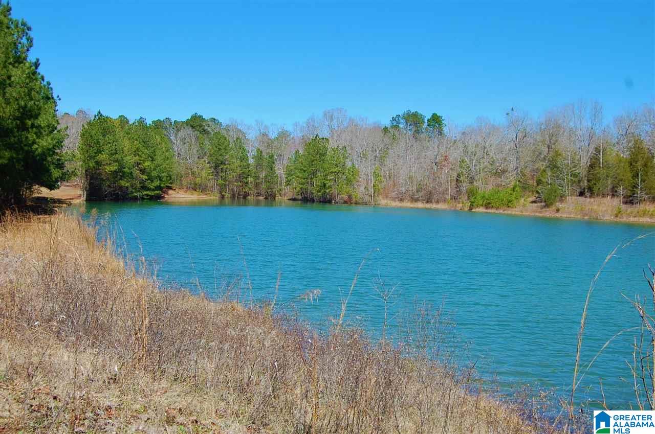0 Melissa Robyn Road, Unit 1 Deatsville, AL 36022 - Photo 1 of 29