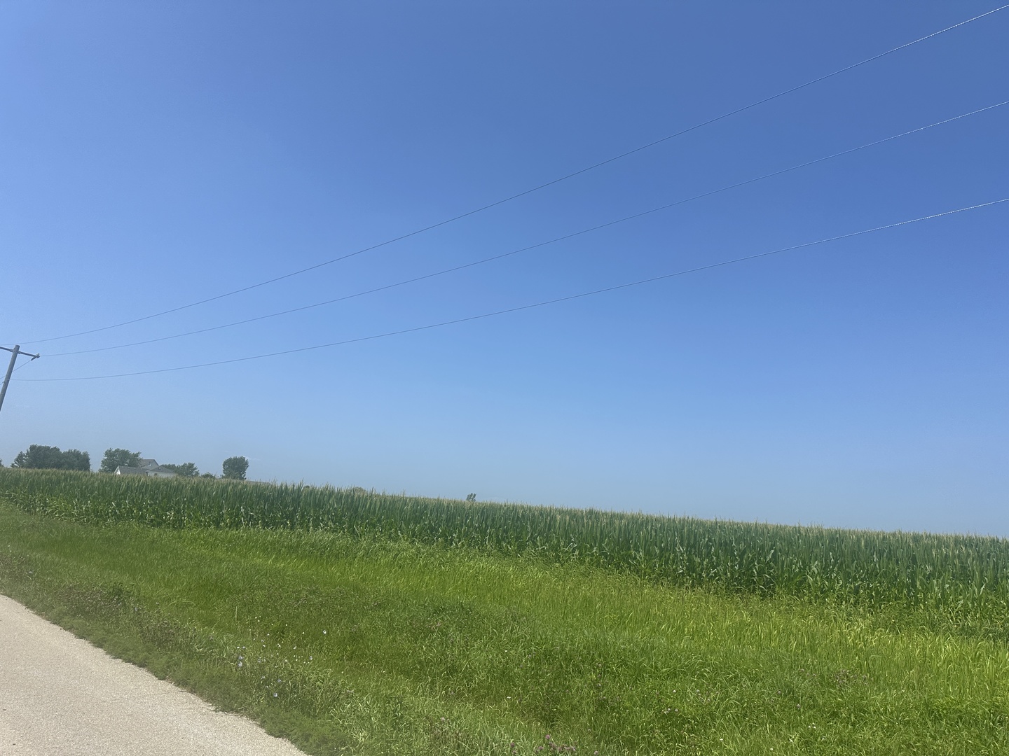 Lot 1 West Haley Road Manhattan, IL 60442 - Photo 12 of 15